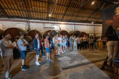 IMG_1928